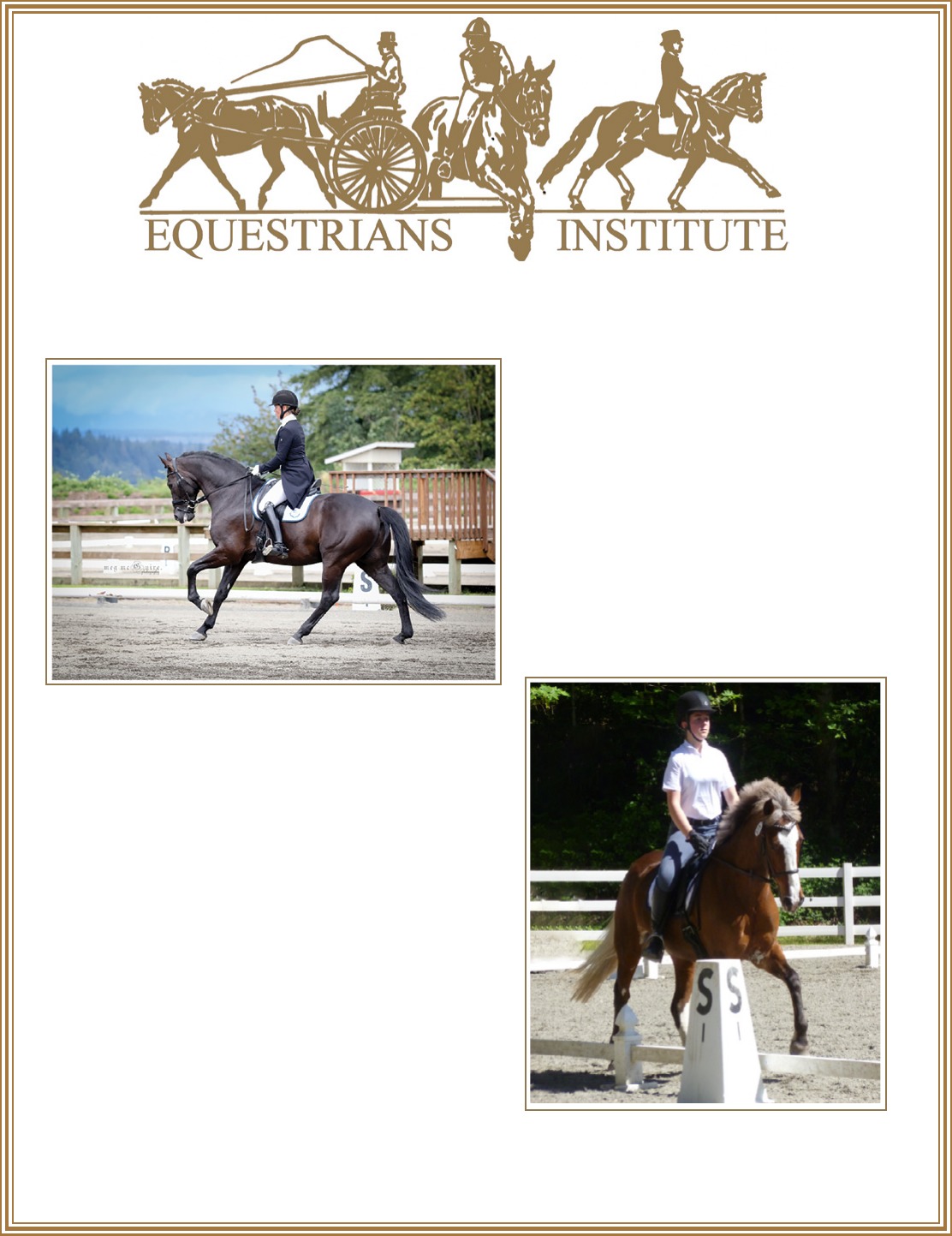 The Competitive Equestrian Jan F